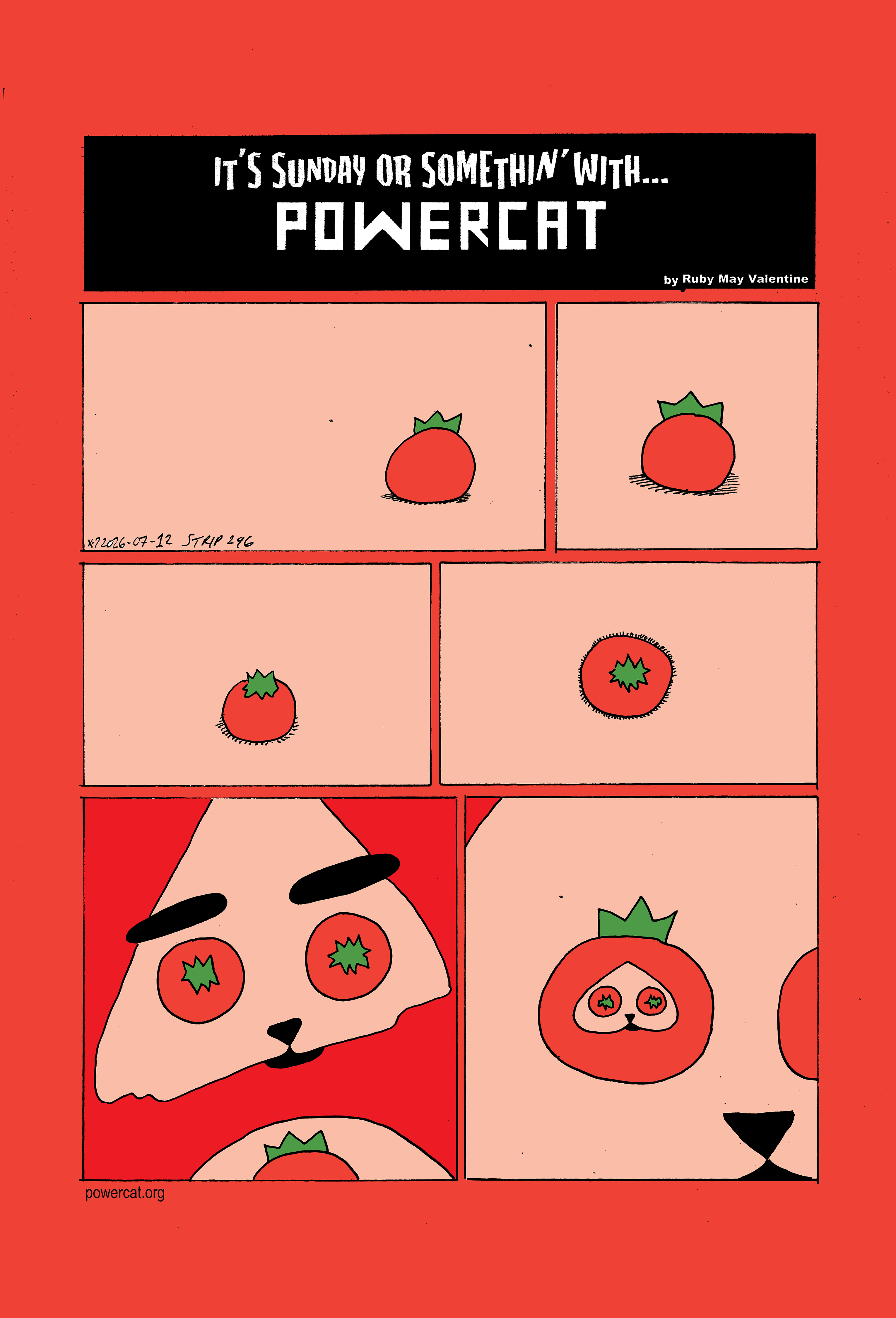 The scene starts on a tomato on a pale flesh colored field. The camera slightly rotates showing a different but not very unique angle. The tomato is then seen from a top down perspective but slightly angled, and then finally it is seen directly from above. It turns out that the tomato is one of Power Cat's eyes and now you can see that his eyes are both tomatoes. Finally it Shows that power cat's face is on a tomato, and he has tomato eyes, and tomato eyed tomato bodied power cat is the tomato eyes of power cat 