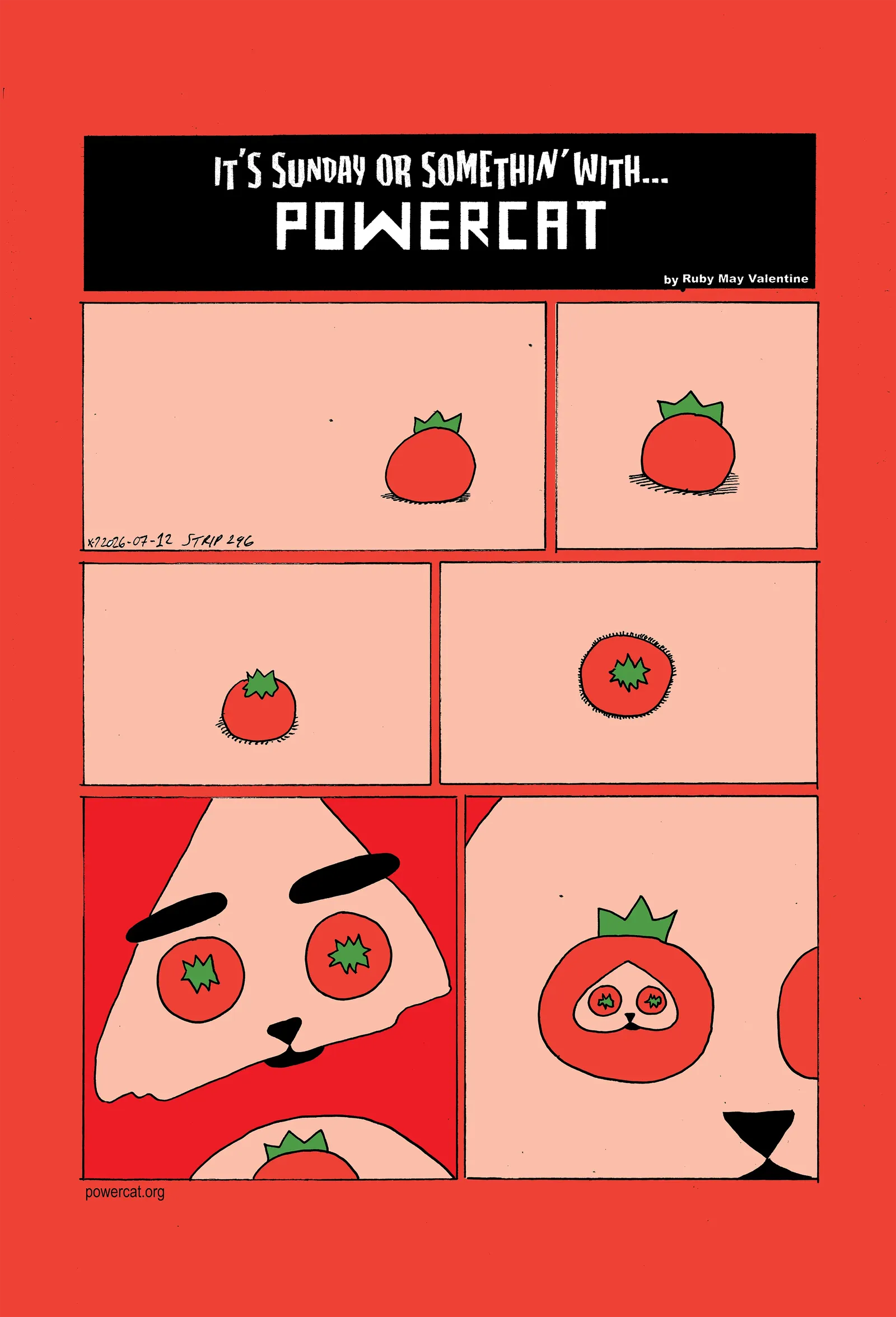 The scene starts on a tomato on a pale flesh colored field. The camera slightly rotates showing a different but not very unique angle. The tomato is then seen from a top down perspective but slightly angled, and then finally it is seen directly from above. It turns out that the tomato is one of Power Cat's eyes and now you can see that his eyes are both tomatoes. Finally it Shows that power cat's face is on a tomato, and he has tomato eyes, and tomato eyed tomato bodied power cat is the tomato eyes of power cat 