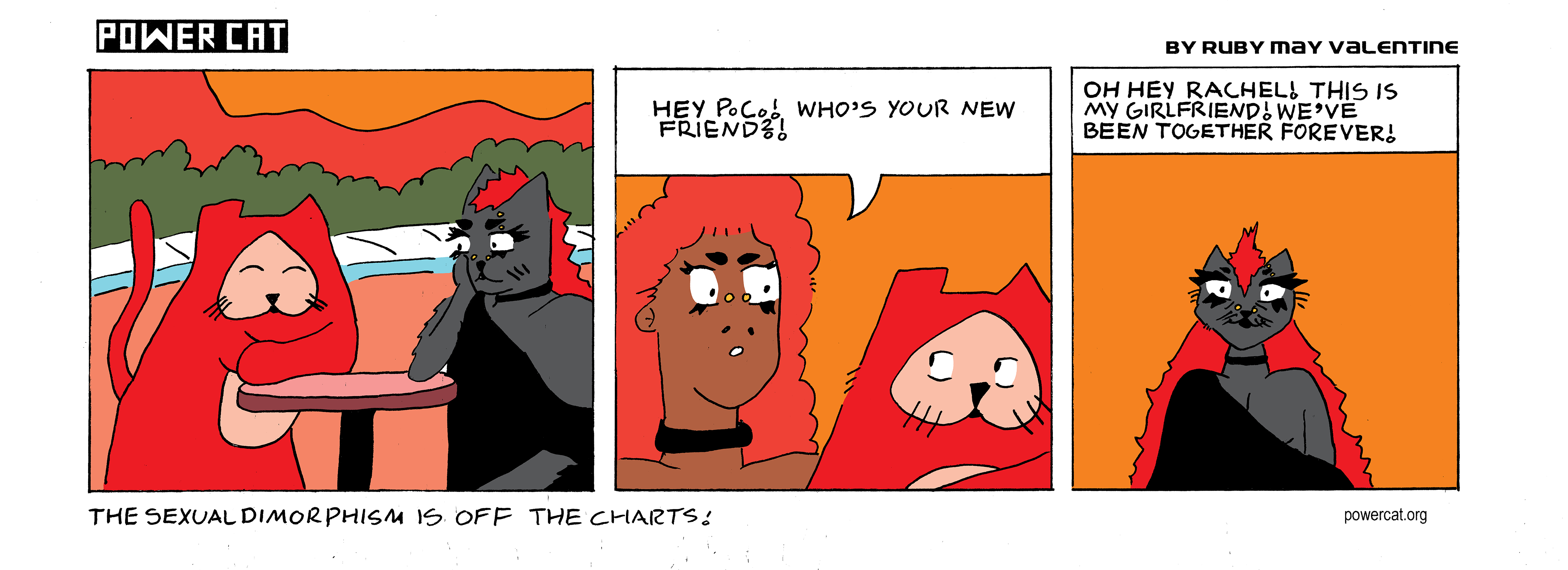 Power Cat is standing at a table with a goth cat girl. Rachel walks up and says hey PC! Who's your new friend! Power Cat says oh hey rachel! This is my girlfriend! We've been together forever! caption says the sexual dimorphism is of the charts!  