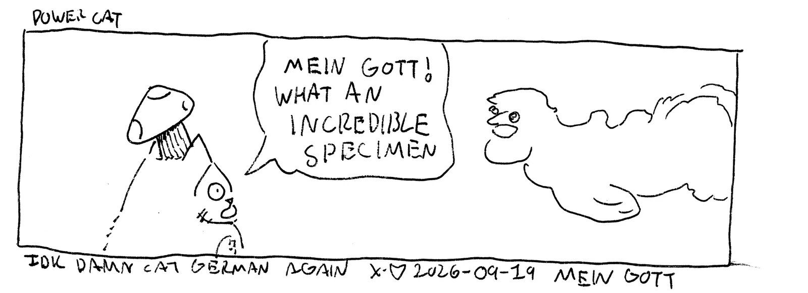 damn cat is looking at some crazy looking guy like I don't know how to even describe this guy so I won't but he's looking at him and damn cat says mein gott what an incredible specimen. caption says IDK damn cat is german again 