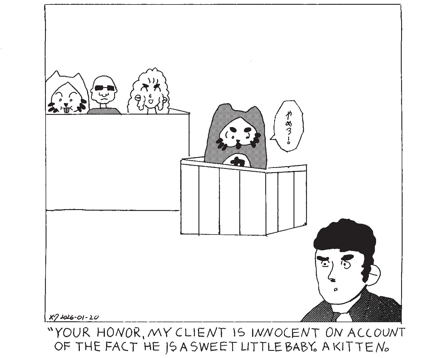 strip from 2026/01/20