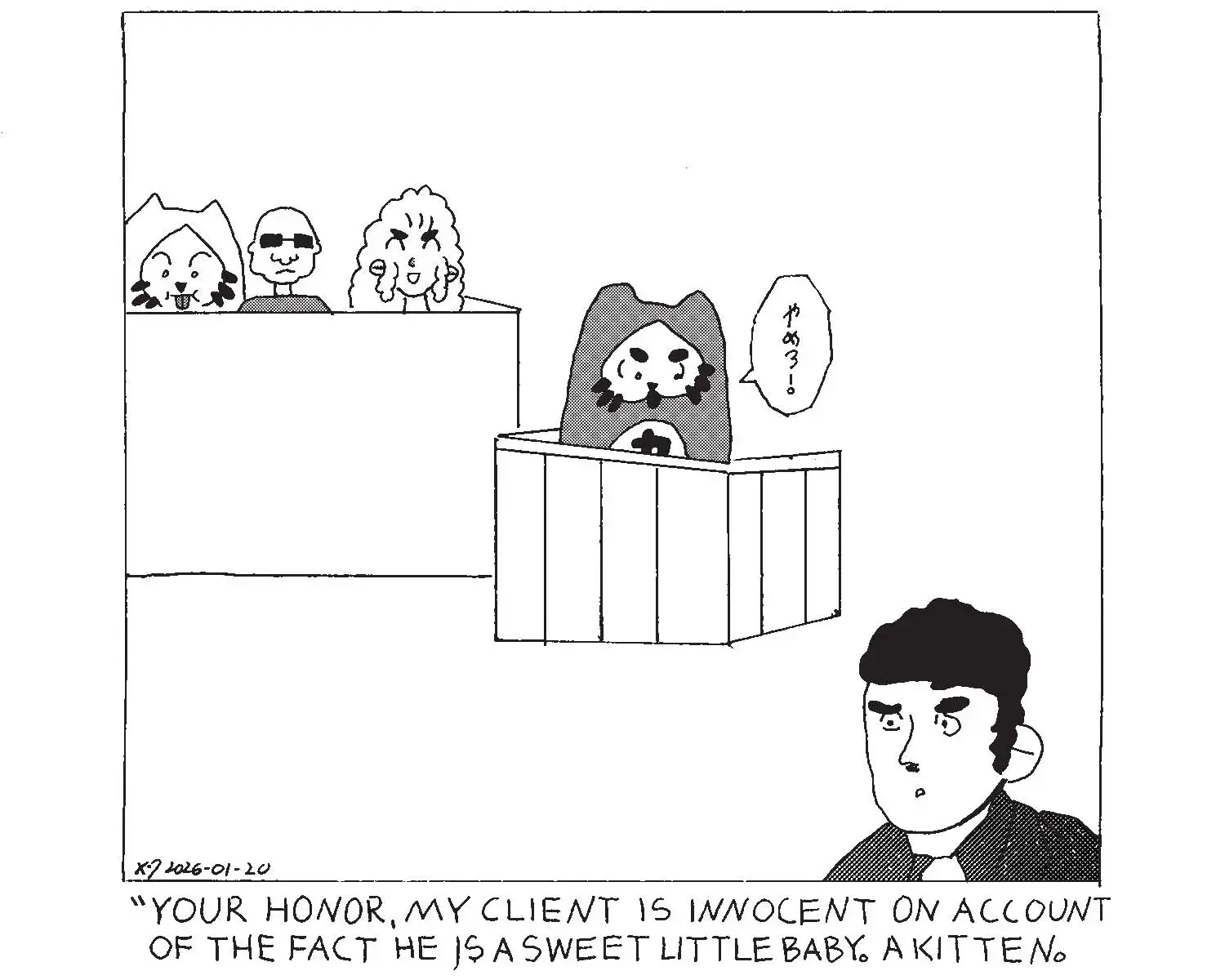 strip from 2026/01/20