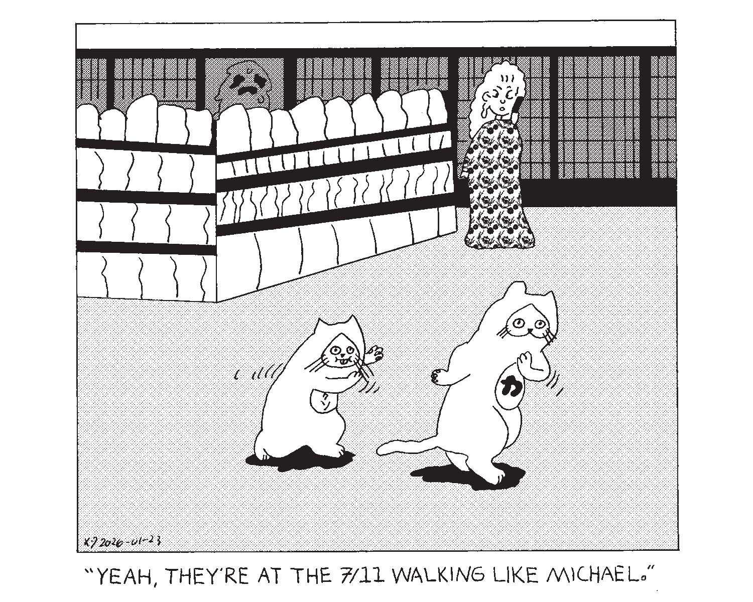 strip from 2026/01/23