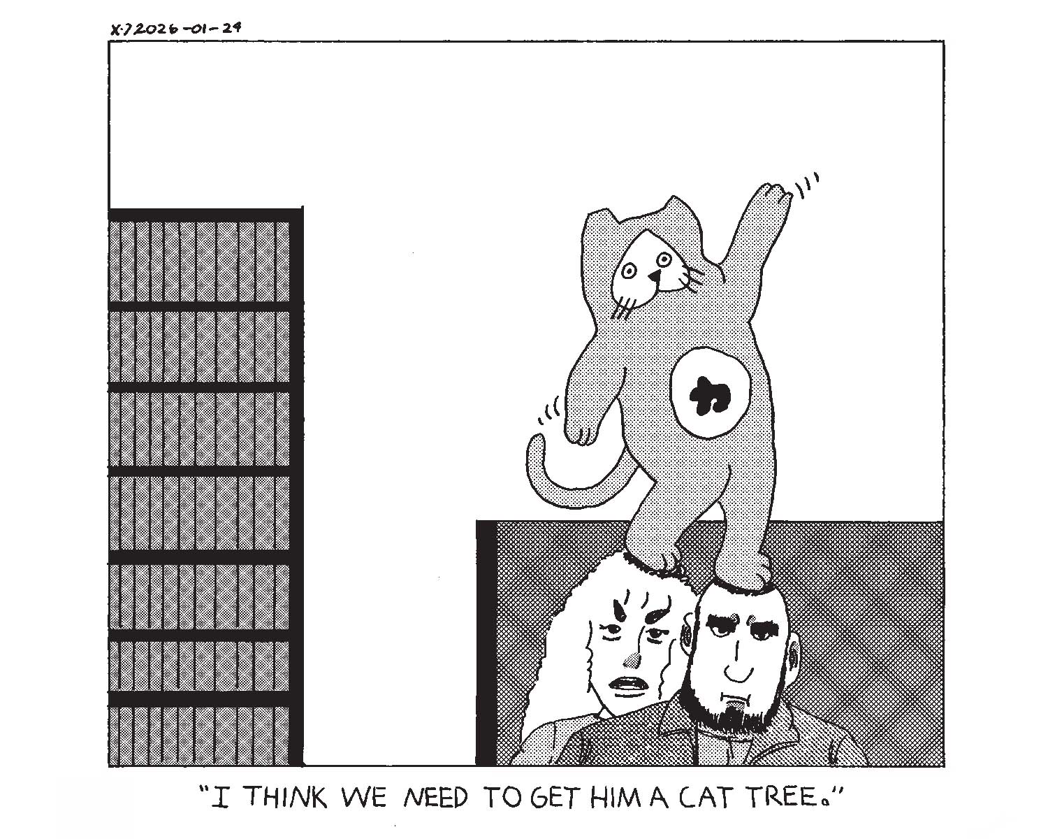 strip from 2026/01/24