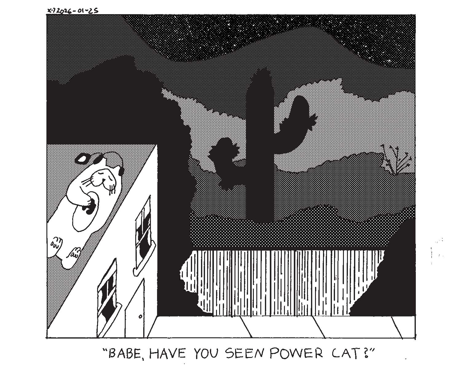 strip from 2026/01/25