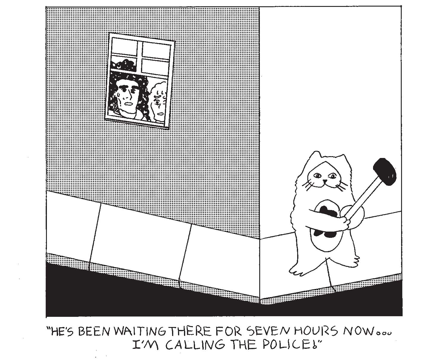 strip from 2026/01/28
