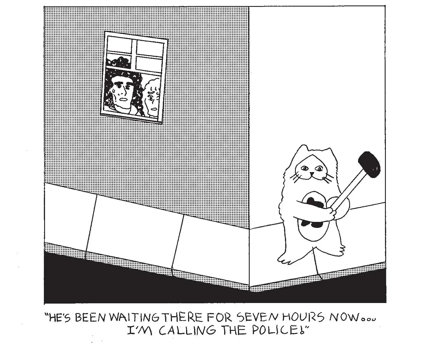 strip from 2026/01/28