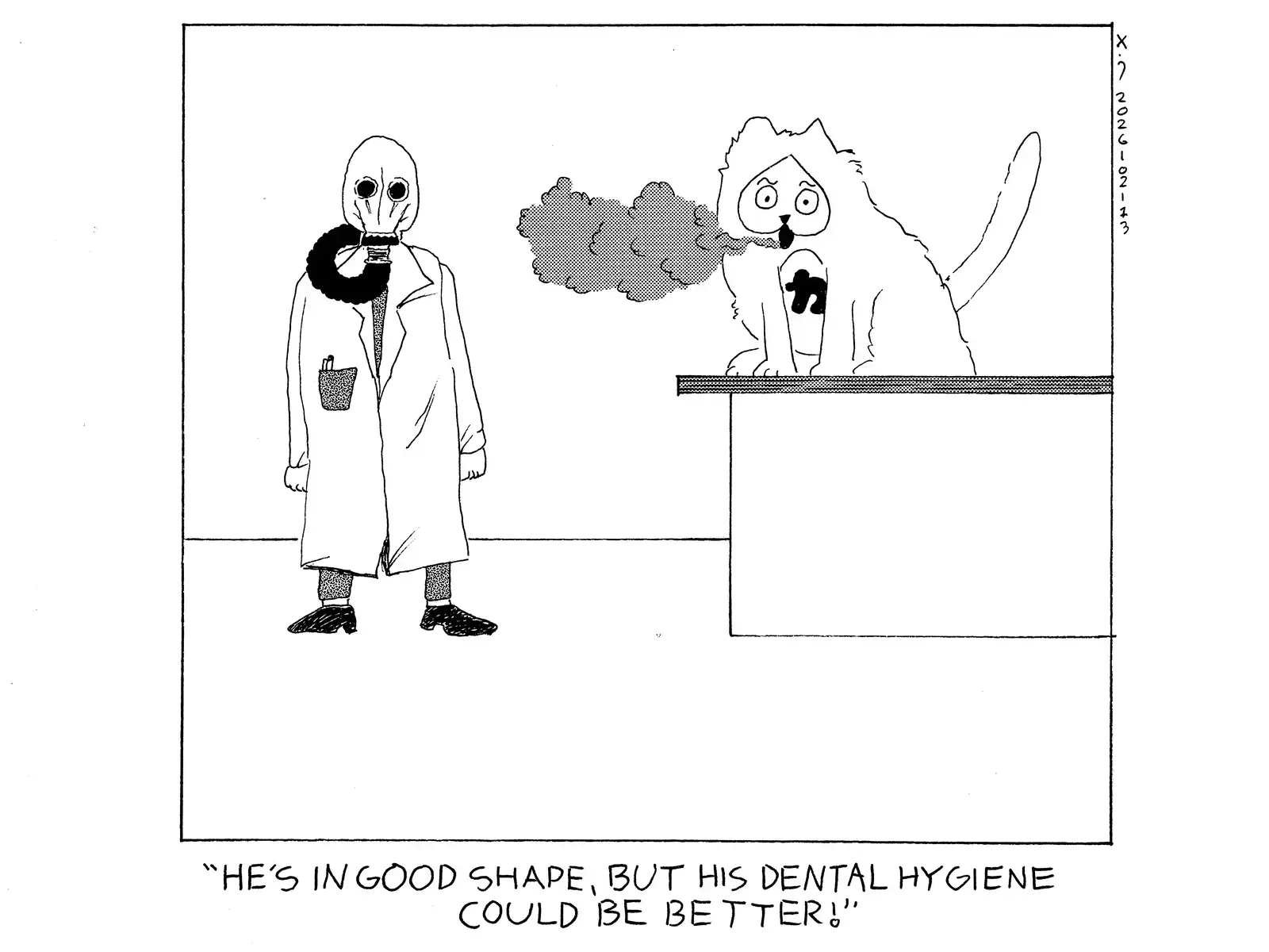 strip from 2026/02/13