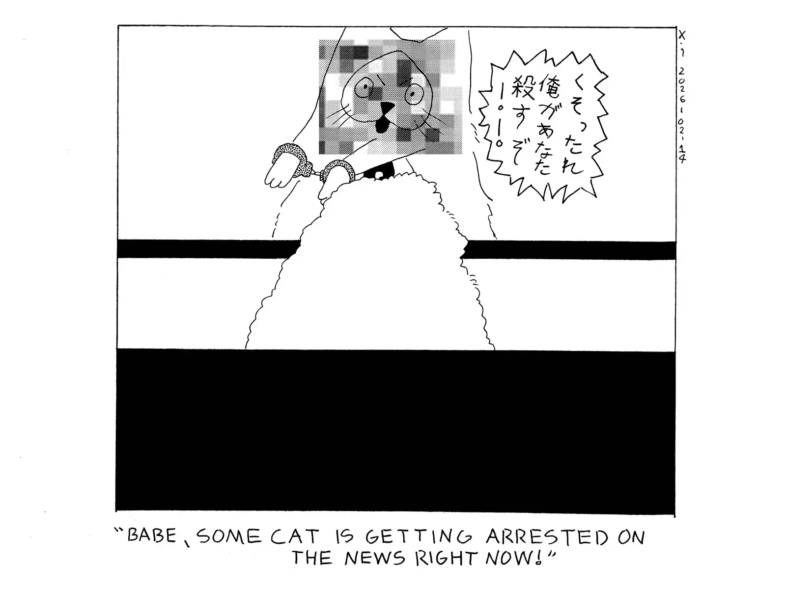 strip from 2026/02/14