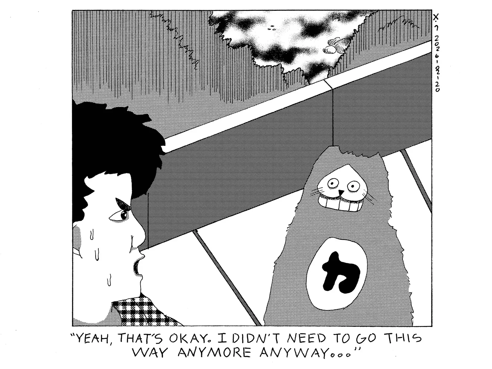 strip from 2026/02/20