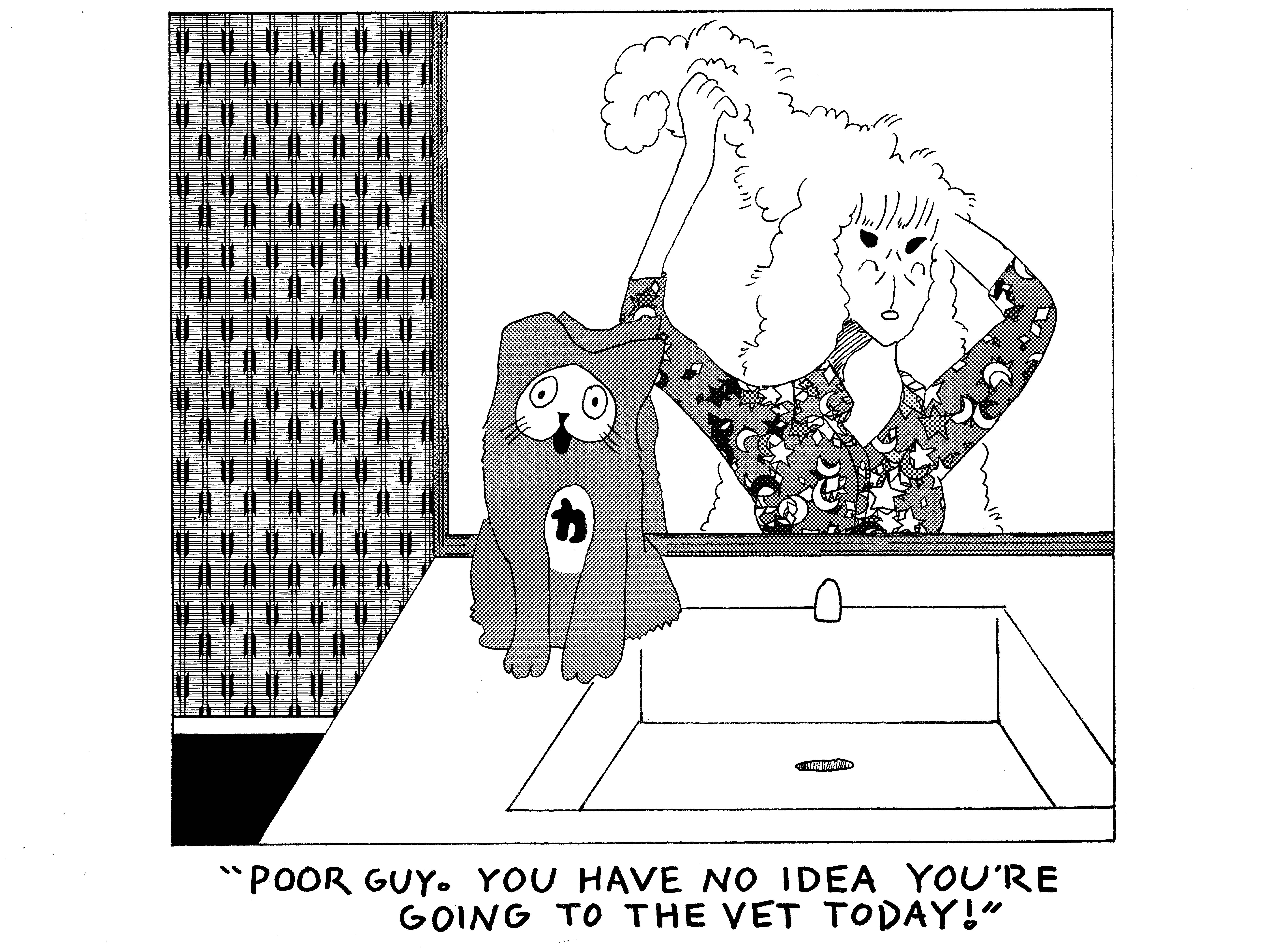 strip from 2026/02/24