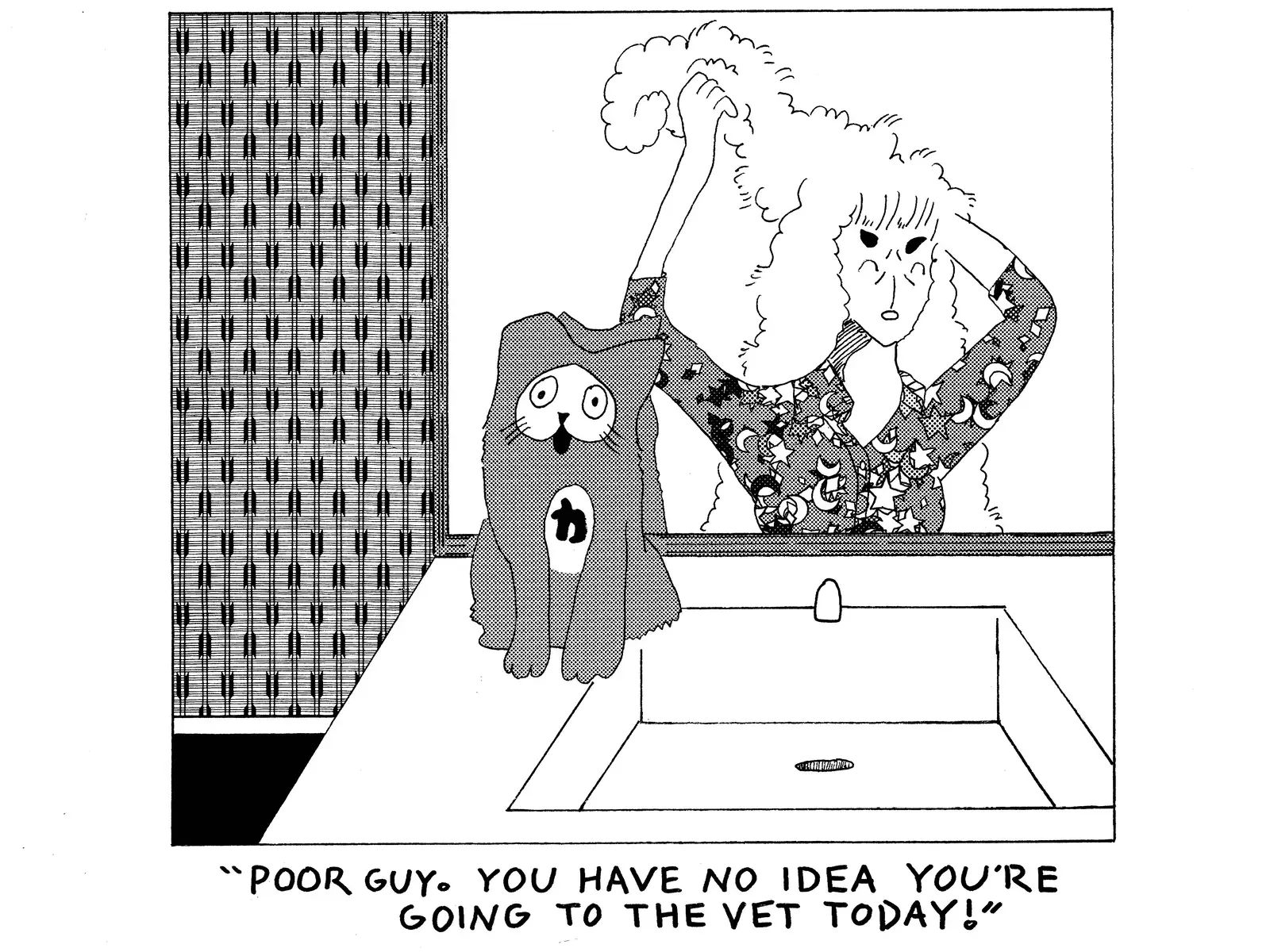 strip from 2026/02/24