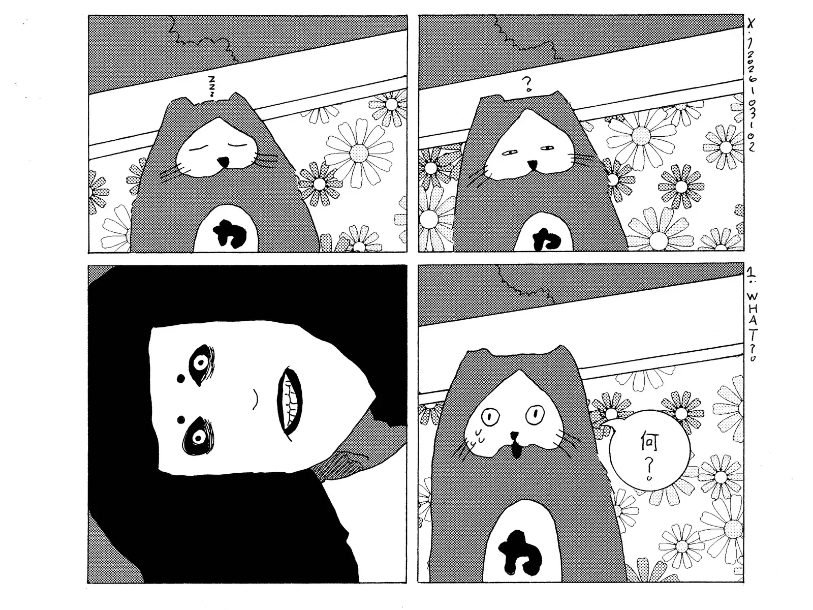 strip from 2026/03/02
