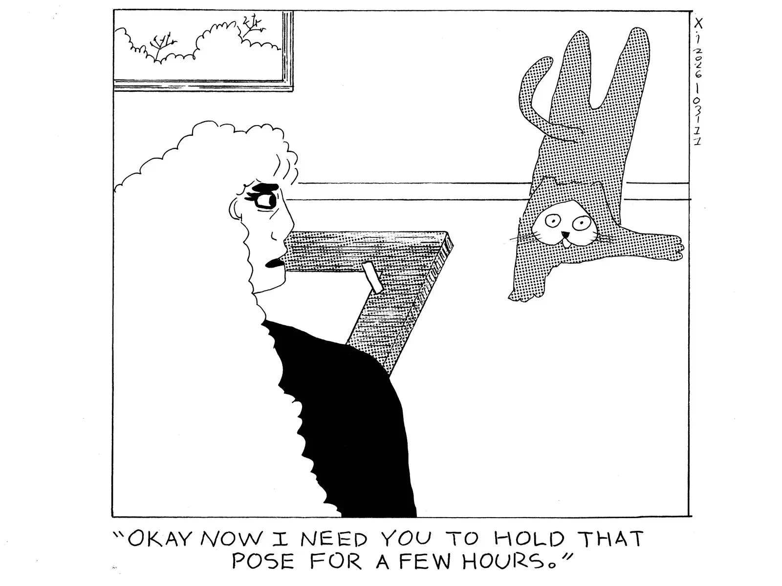 strip from 2026/03/11