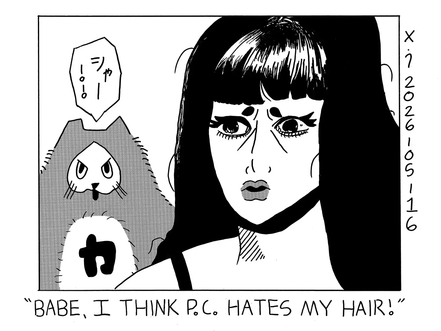 strip from 2026/05/16