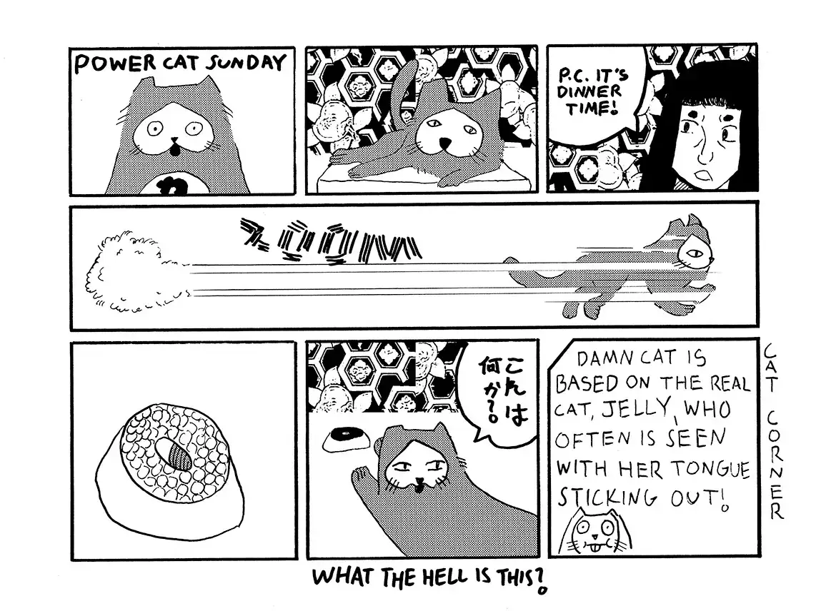 strip from 2026/05/17