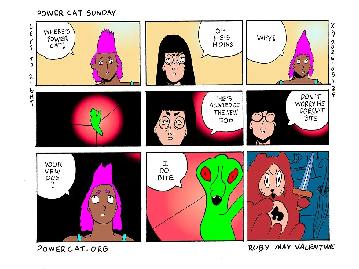 strip from 2026/05/24