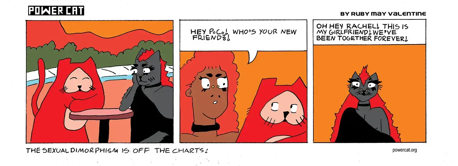 strip from 2026/07/14
