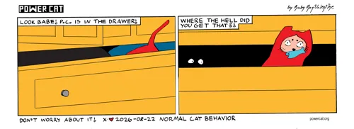 strip from 2026/08/22