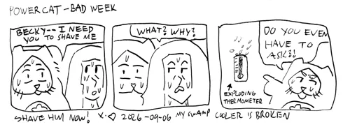 strip from 2026/09/06