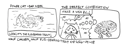 strip from 2026/09/08